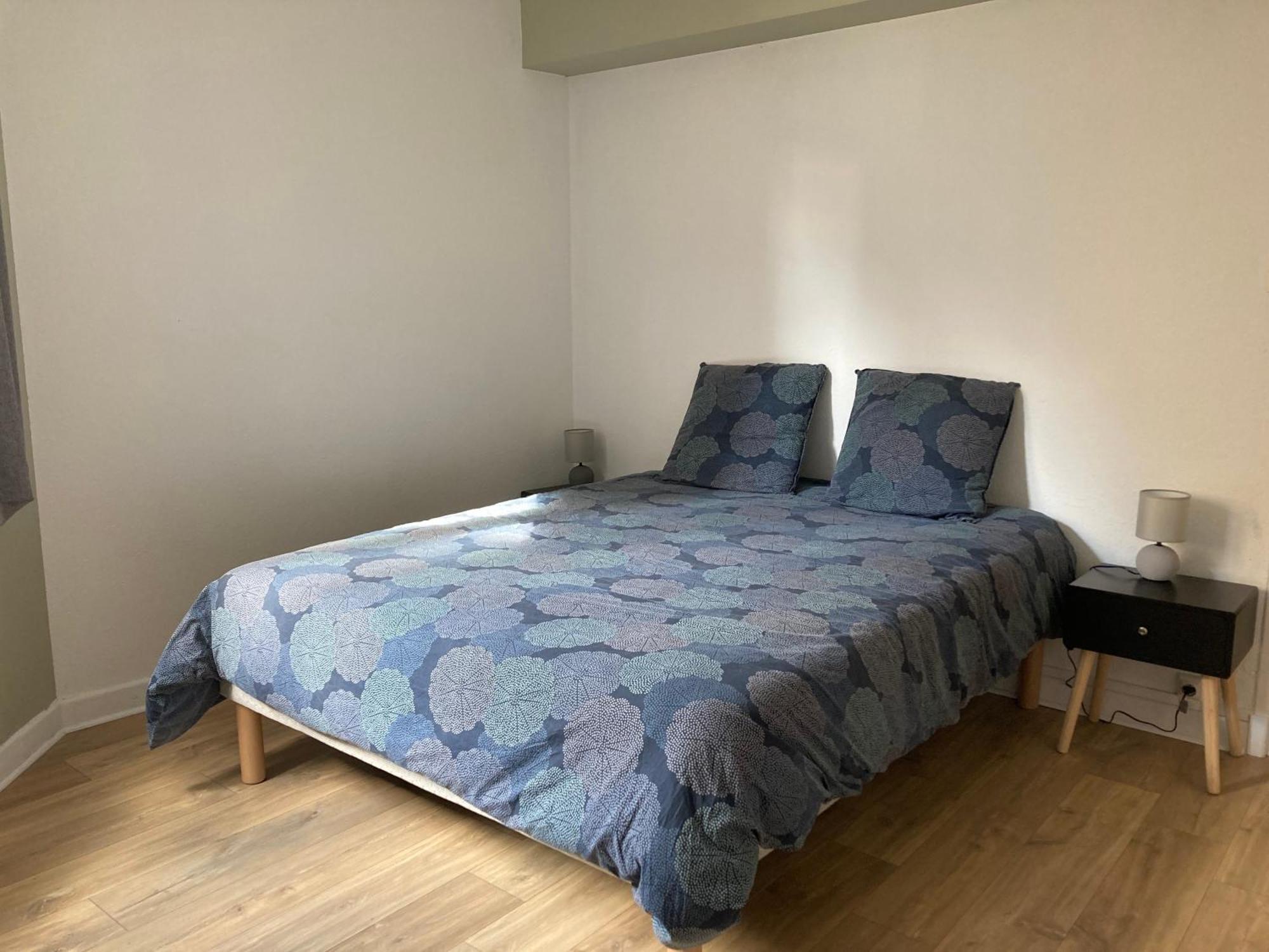 Carc'Appart Appartements A Carcassonne Zewnętrze zdjęcie
